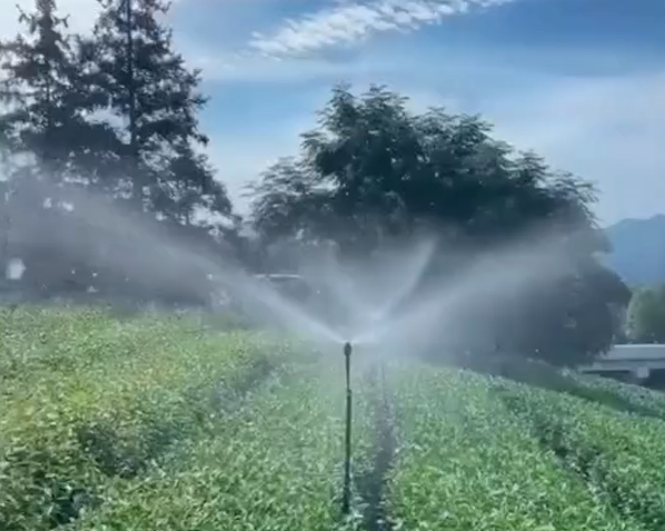 案例2