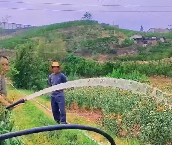 案例6