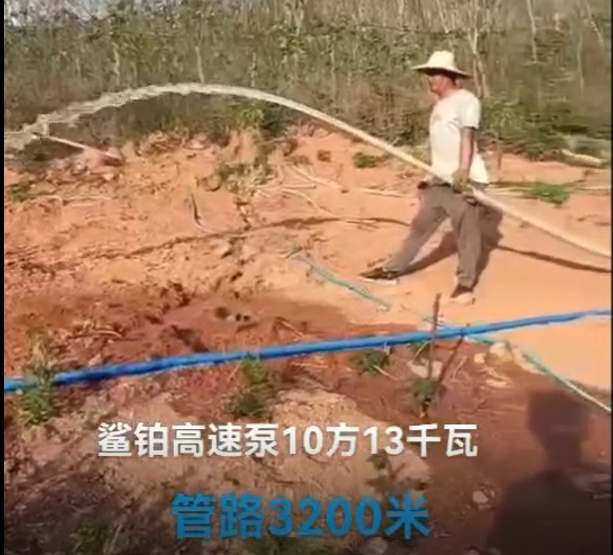 案例9