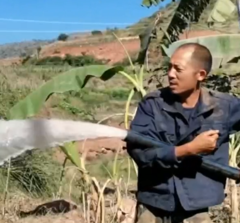 案例10